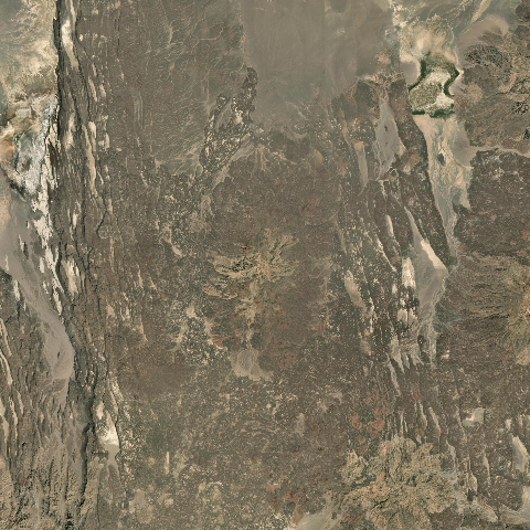 3D model of Ali Mela (221803)