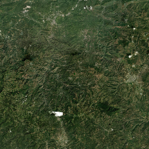 3D model of Alutate Cerro (342807)
