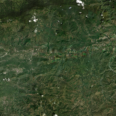 3D model of Ananopa Cerro (342812)