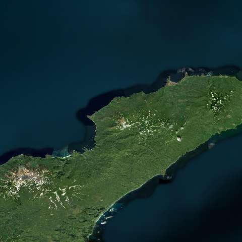 3D model of Antipin (290804)