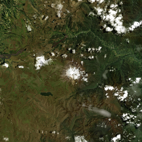 3D model of Antisana volcano (352030)