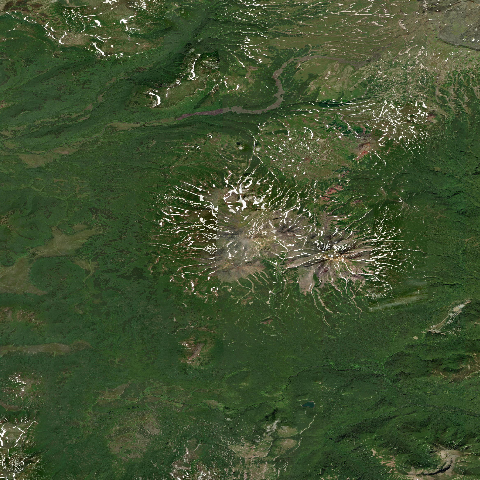 3D model of Asacha (300058)