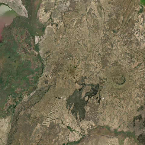 3D model of Ayelu (221160)