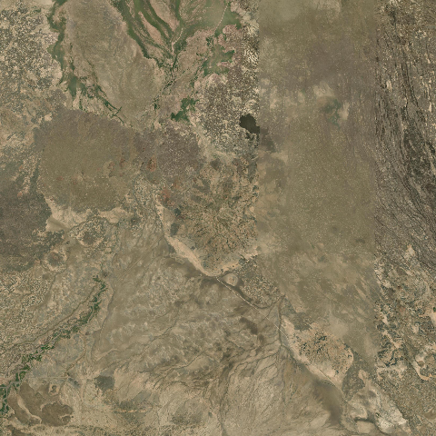 3D model of Badi (221805)