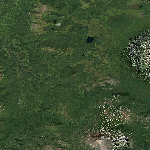 3D model of Belenkaya (300042)