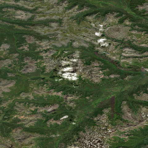3D model of Bongabti (300878)