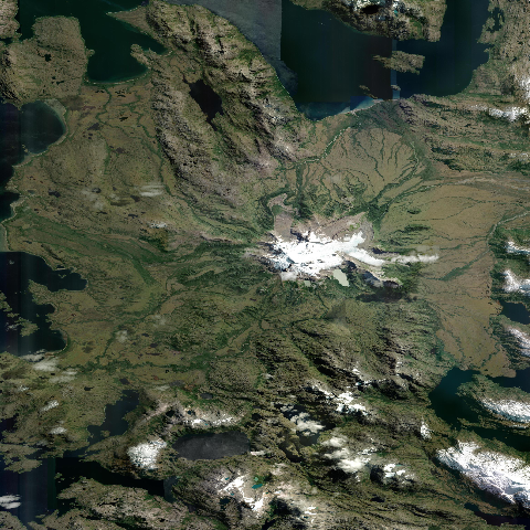 3D model of Burney Monte (358070)