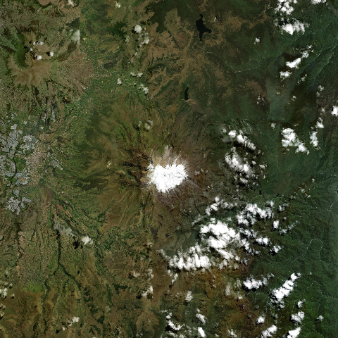3D model of Cayambe volcano (352006)