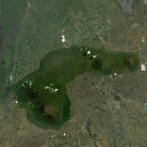3D model of Central Virunga Volcanic Field (223072)
