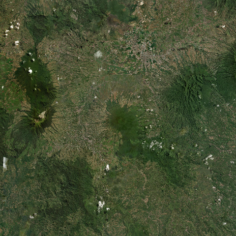 3D model of Cikuray (263816)