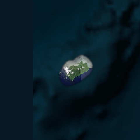 3D model of Coco Isla Del (345811)