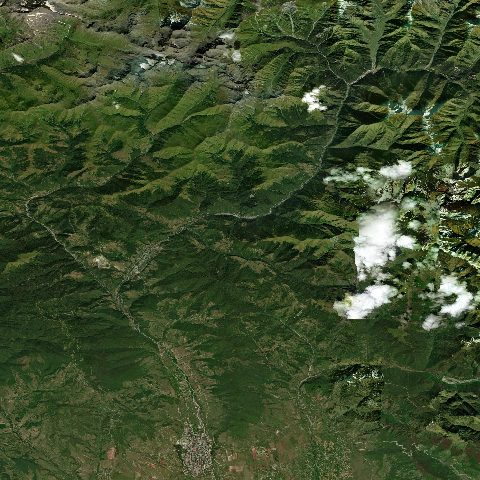 3D model of Dzau (214808)