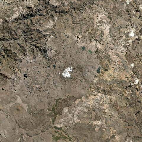 3D model of Firura Nevados (354802)