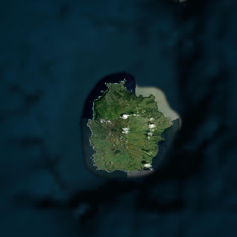 3D model of Flores (382001)
