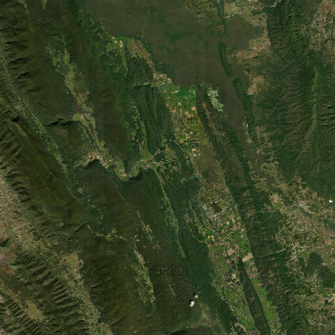 3D model of Flores Los (341837)