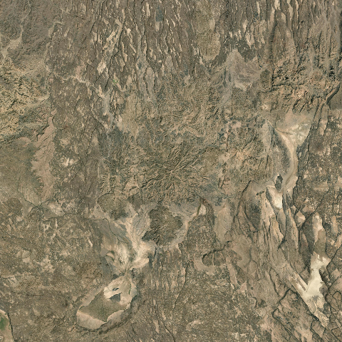 3D model of Gad Elu (221806)