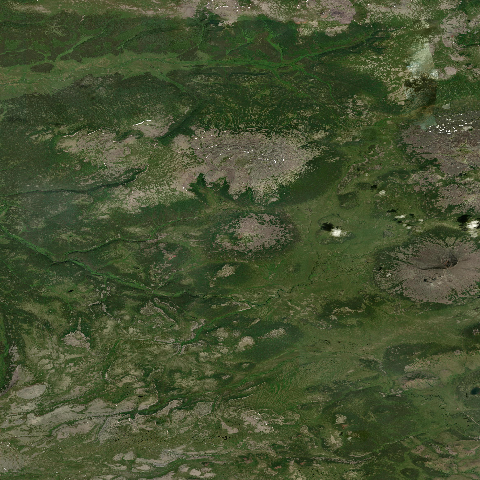 3D model of Geodesistoy (300380)