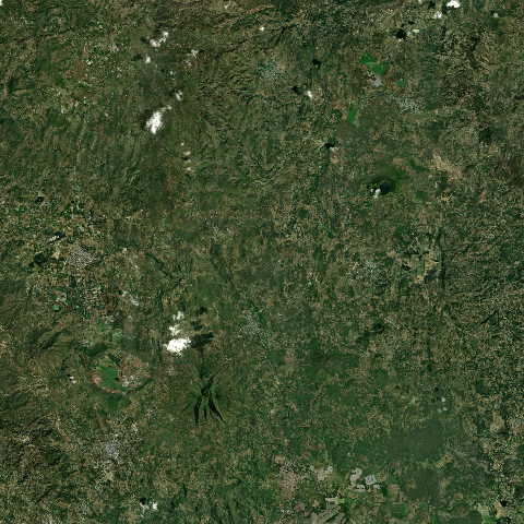 3D model of Guistepeque Volcanic Field (342808)