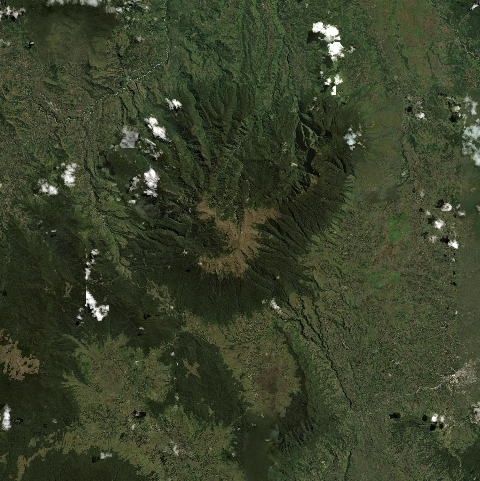 3D model of Hagen (253806)