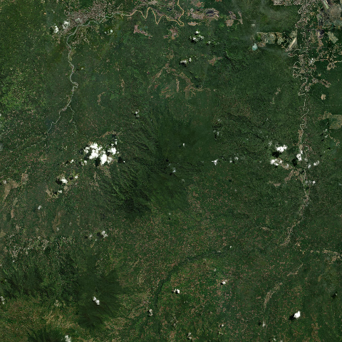 3D model of Isau Isau (261863)
