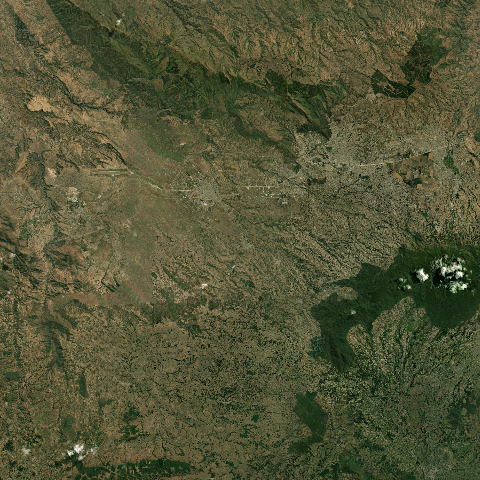 3D model of Izumbwe Mpoli (222165)