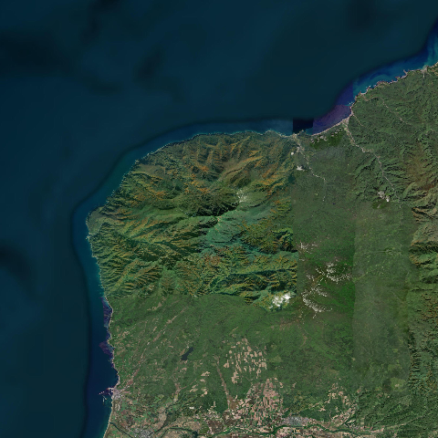 3D model of Kariba (285807)