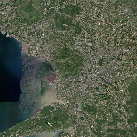 3D model of Kinpo (282812)