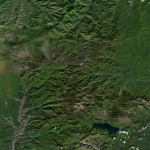 3D model of Kinunuma Nenakusa (283863)