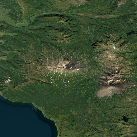 3D model of Koshelev (300020)