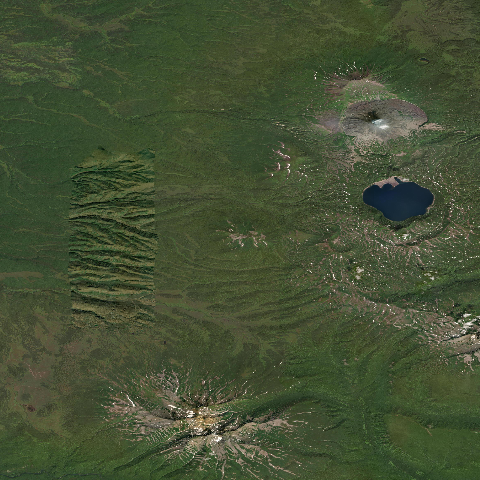 3D model of Krainy (300842)