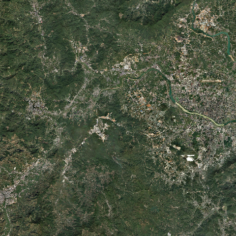 3D model of Longhai (305832)