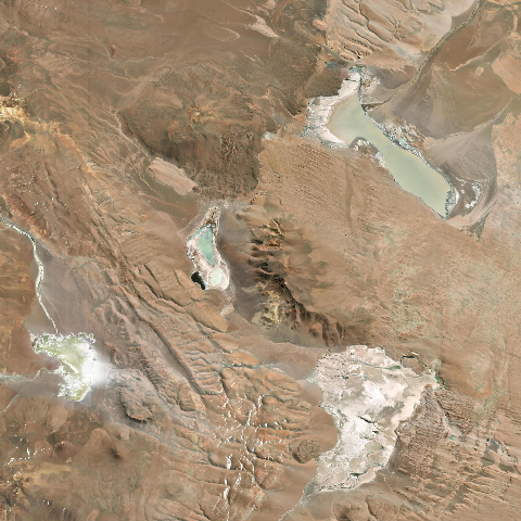 3D model of Losloyo (355846)