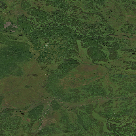 3D model of Lyzyk (300863)