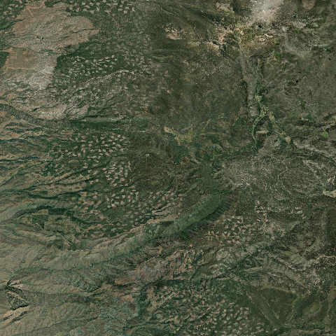 3D model of Maidu (323819)