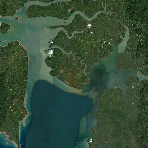 3D model of Medaw Island (275820)