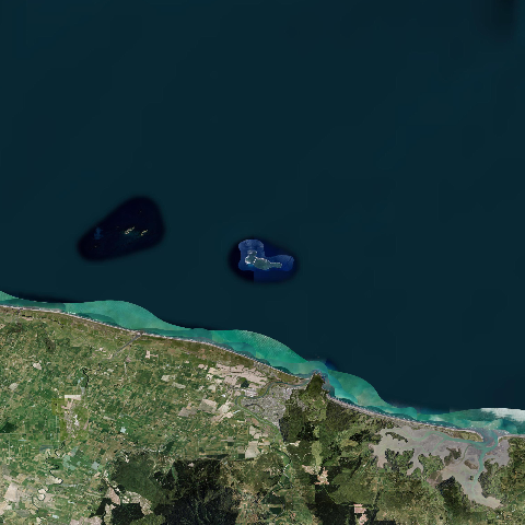 3D model of Moutohora Island (241815)
