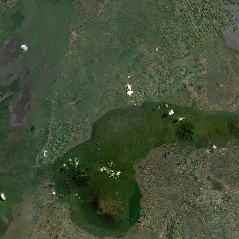3D model of Mugogo (223045)