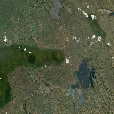 3D model of Muhavura (223060)