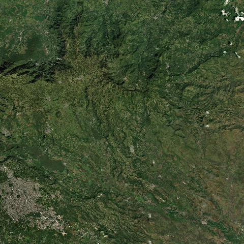 3D model of Naolinco Volcanic Field (341095)