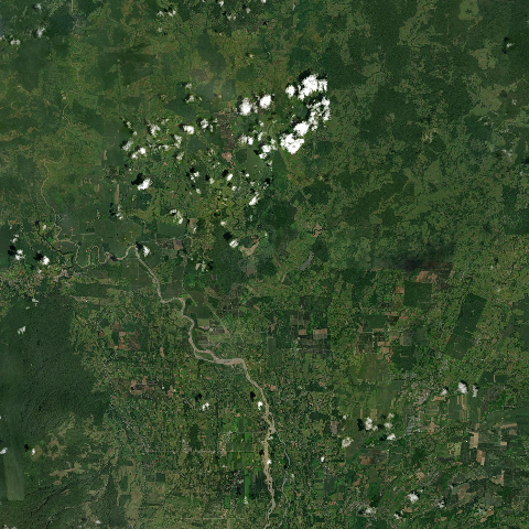 3D model of Negro Cerro (345806)
