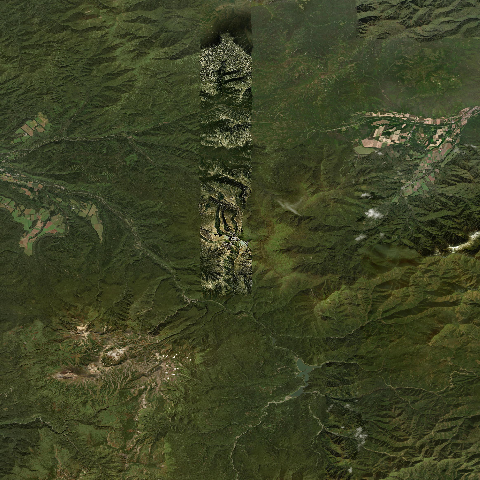 3D model of Niseikaushuppe (285818)
