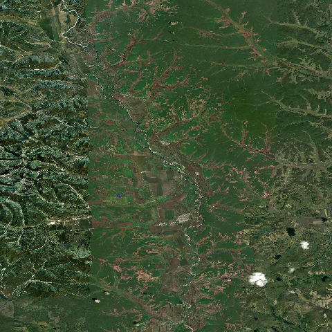 3D model of Nuomin (305847)