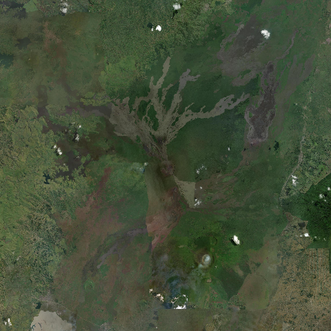 3D model of Nyamuragira (223020)