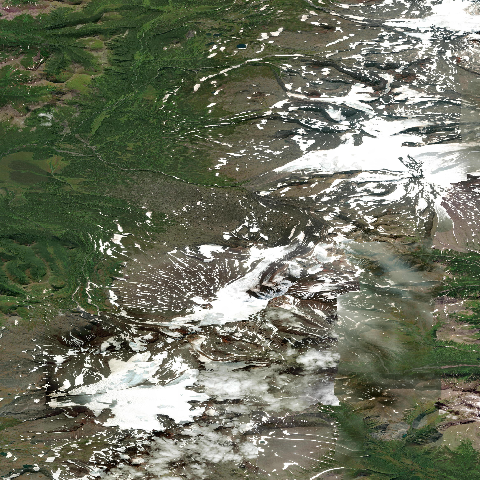 3D model of Nylgimelkin (300650)