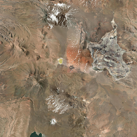 3D model of Overo Cerro (355097)