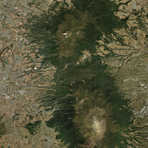 3D model of Papayo (341081)