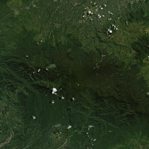 3D model of Patah (261231)