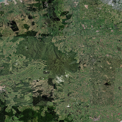 3D model of Pirongia (241810)