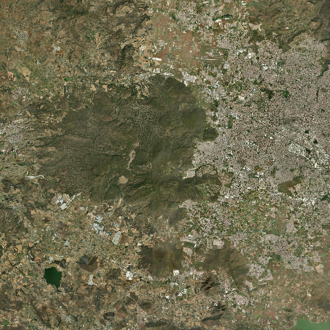 3D model of Primavera Sierra La (341820)