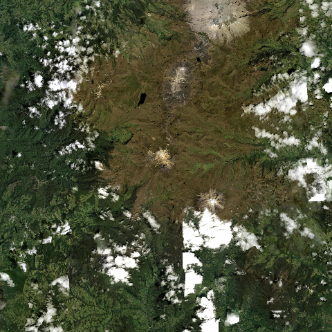 3D model of Quindio Nevado Del (351801)